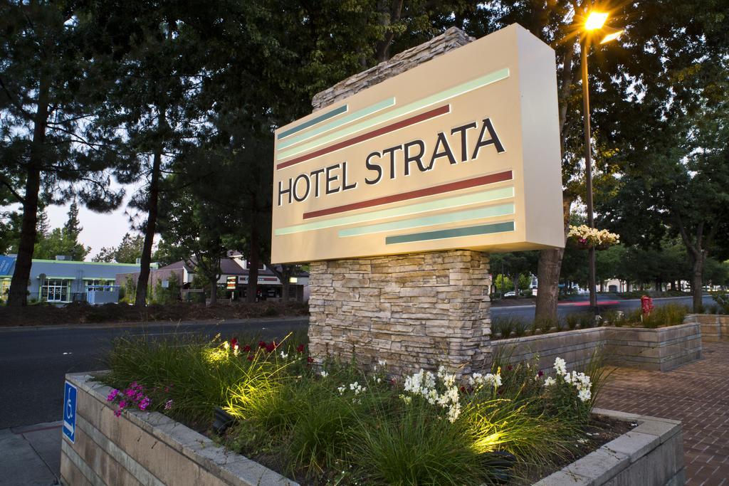 Hotel Strata Mountain View Extérieur photo